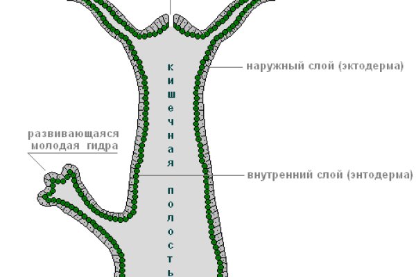 Блекспрут 2fa blacksprut cam blacksprut2web in