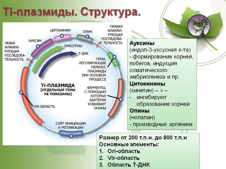 Блекспрут рабочее зеркало 1blacksprut me